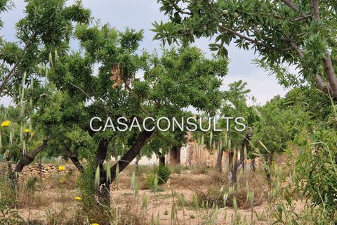 Masia a Les Useras, Castellon, Les Useras - € 140.000 | Ref: 874 - foto 15